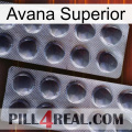 Top Avana 31